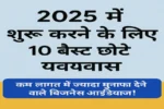 2025 Business Ideas in Hindi