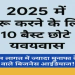 2025 Business Ideas in Hindi